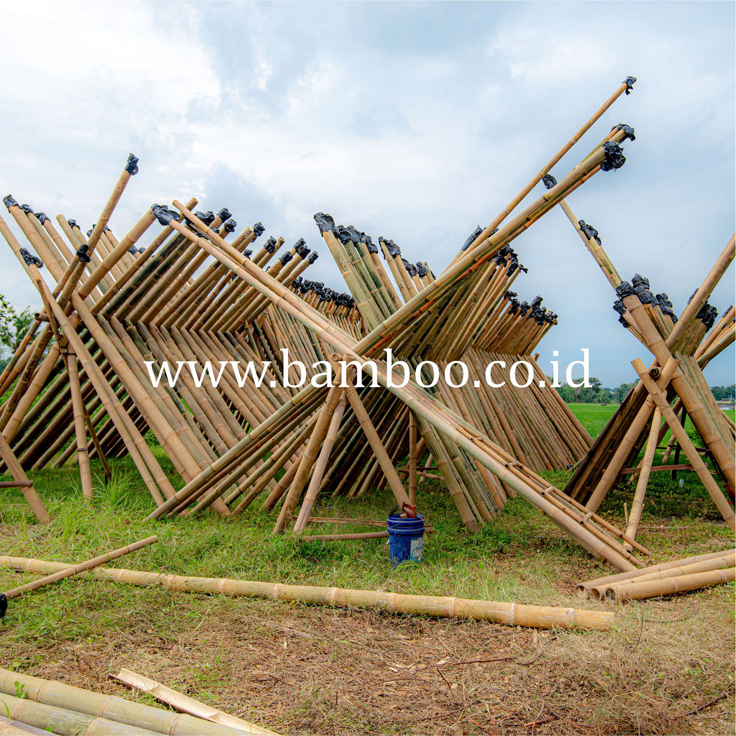 Natural Bamboo Poles / Bamboo Pole - Home Decoration